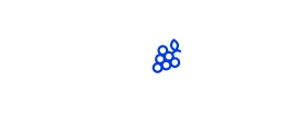 Topvino